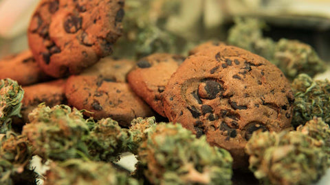 Delicious Delights: Exploring the World of THC Edibles in Beverly Hills, CA