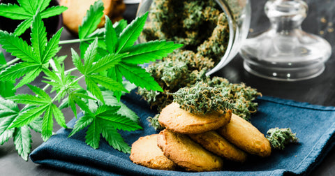 Curbing the Munchies: Exploring Cannabis Strains That Suppress Appetite