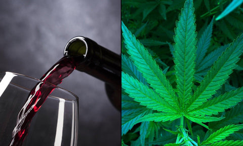 New Survey Reveals: Americans Believe Marijuana is Safer Than Alcohol and Cigarettes, and Less Addictive Than Technology. - Barc Collective